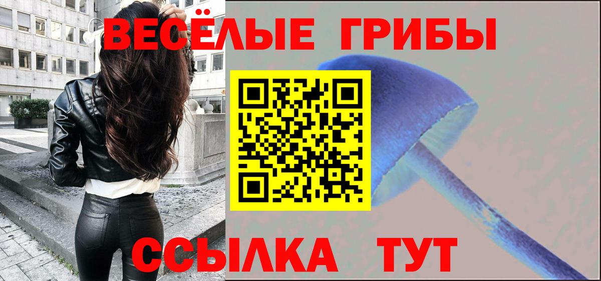 Псилоцибиновые грибы мицелий Урюпинск